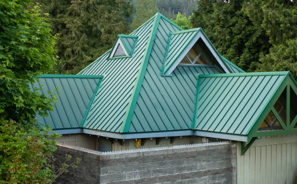 Best Green or Eco-Friendly Roofing Solutions  in Alachua, FL