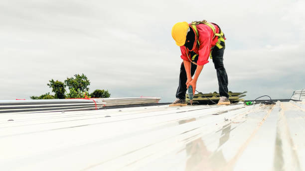 Best Roof Coating and Sealing  in Alachua, FL